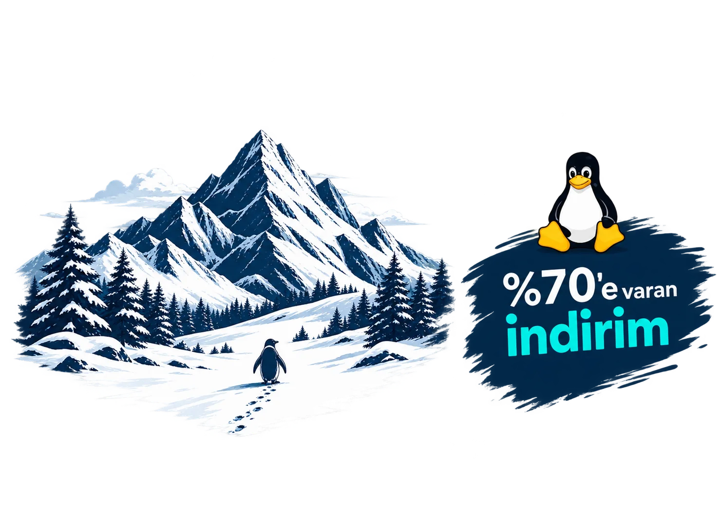 Web Hosting